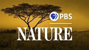 PBS Nature